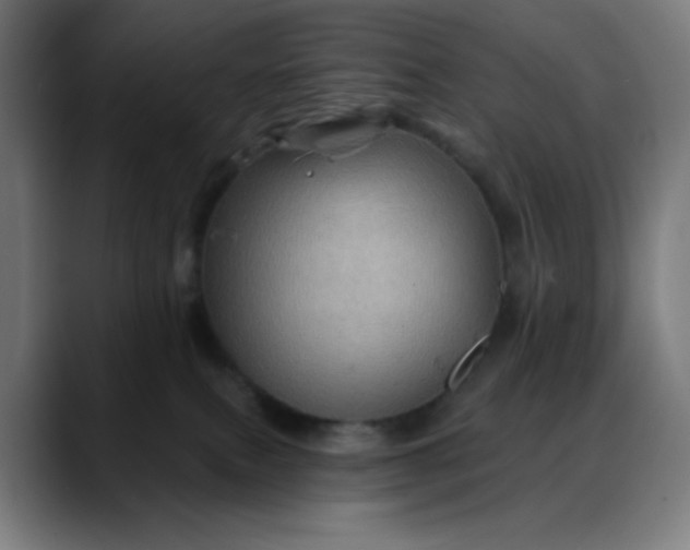 X0000088060087200705251351