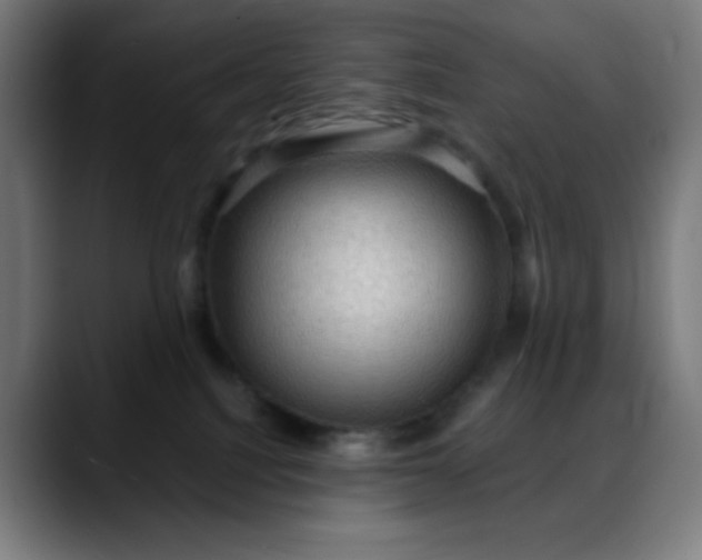 X0000088060088200705251351