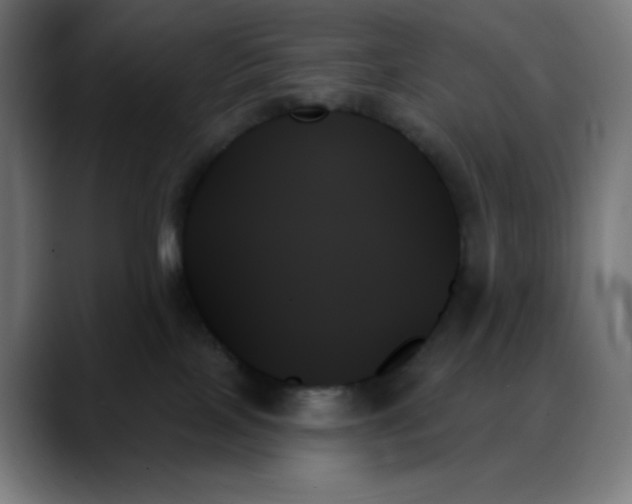 X0000088060089200705251351