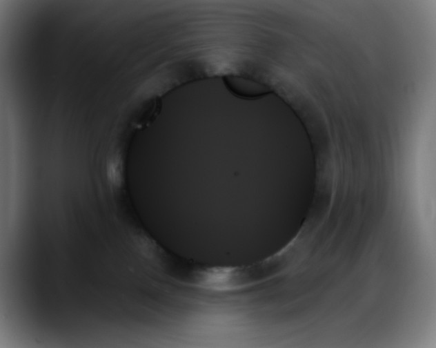 X0000088060090200705251351