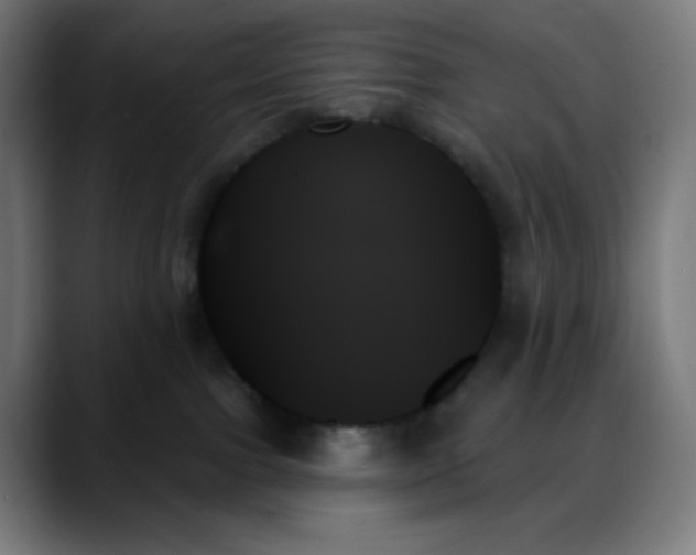 X0000088060091200705251351