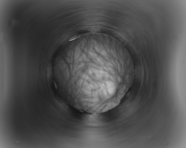 X0000088060092200705251351
