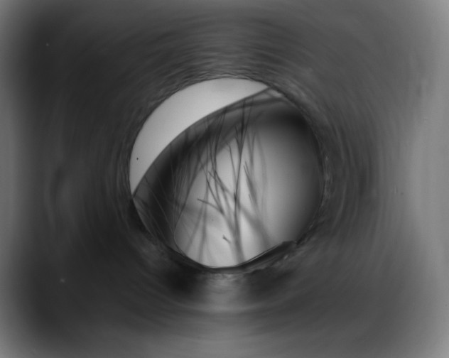 X0000088060096200705251351