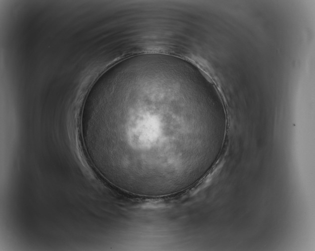 X0000088060097200705251350