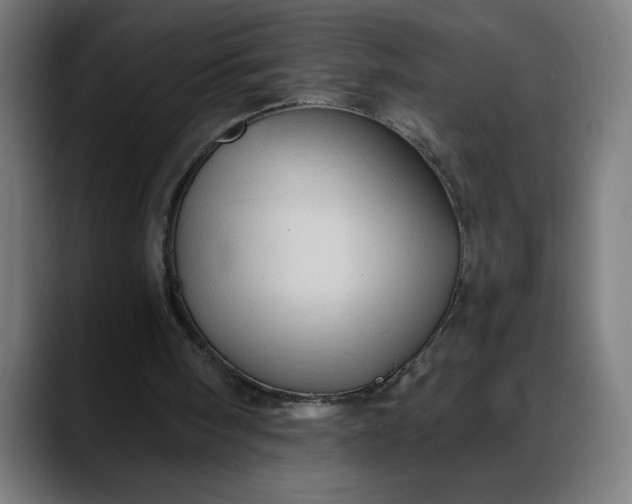 X0000088060098200705251350