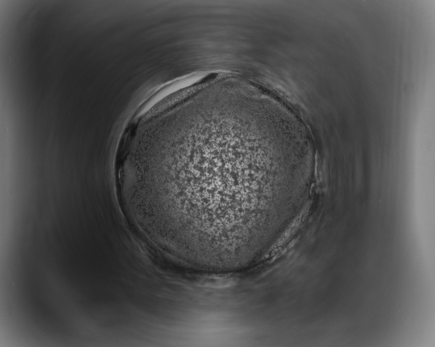 X0000088060099200705251350