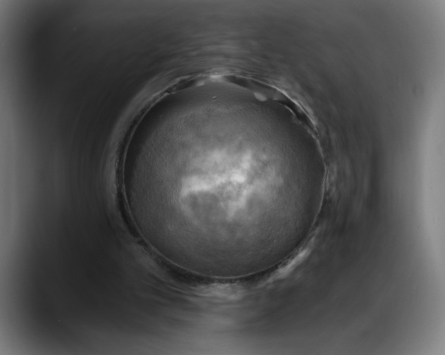 X0000088060101200705251350