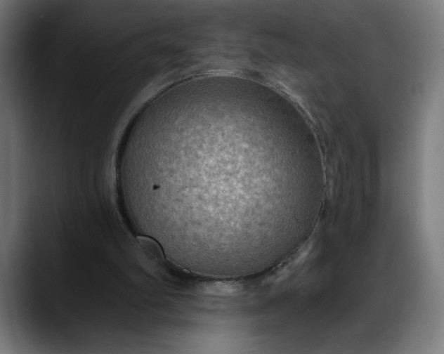 X0000088060102200705251350