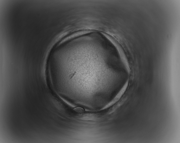 X0000088060104200705251350