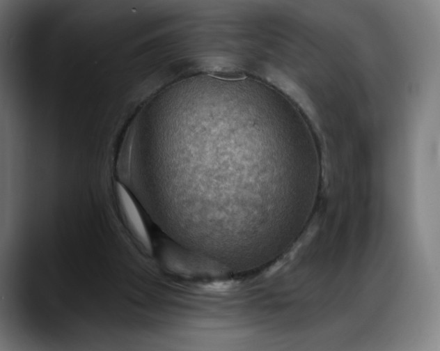 X0000088060105200705251350