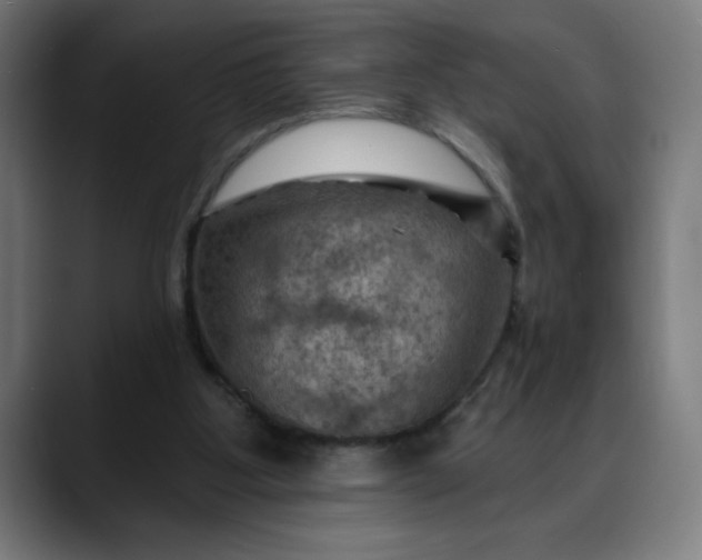 X0000088060107200705251350
