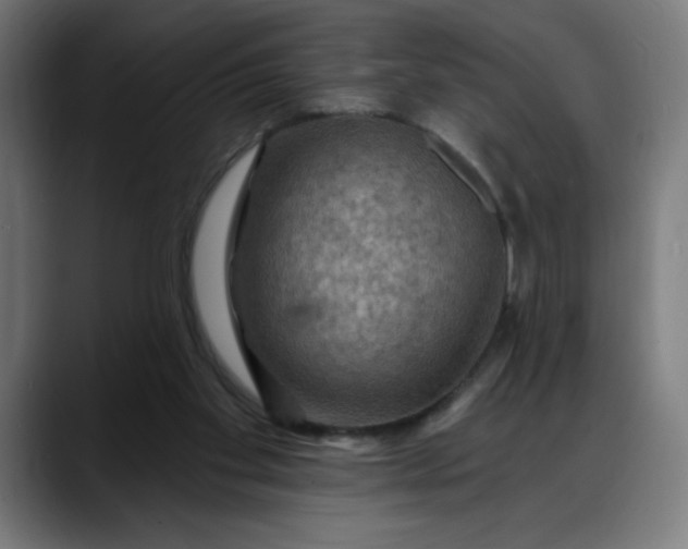 X0000088060109200705251350
