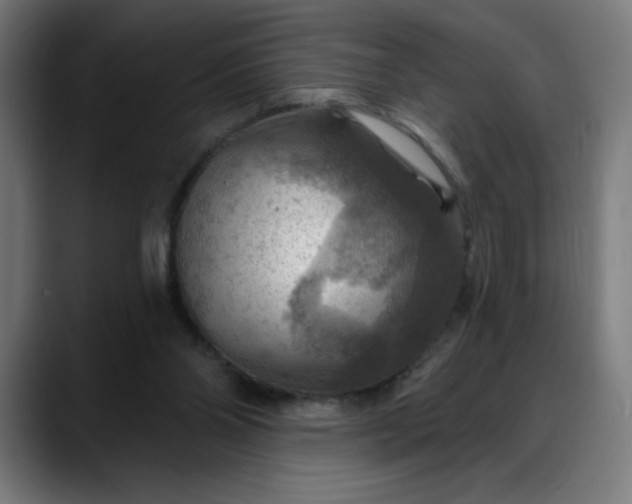 X0000088060110200705251350