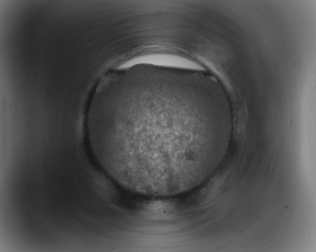 X0000088060111200705251350