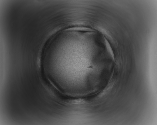 X0000088060112200705251350