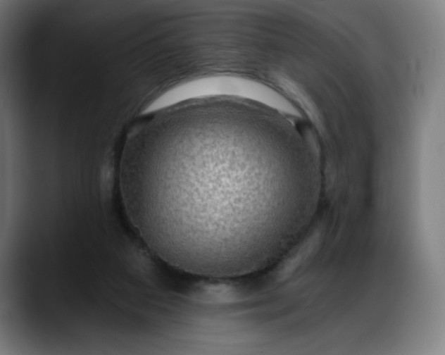 X0000088060113200705251350