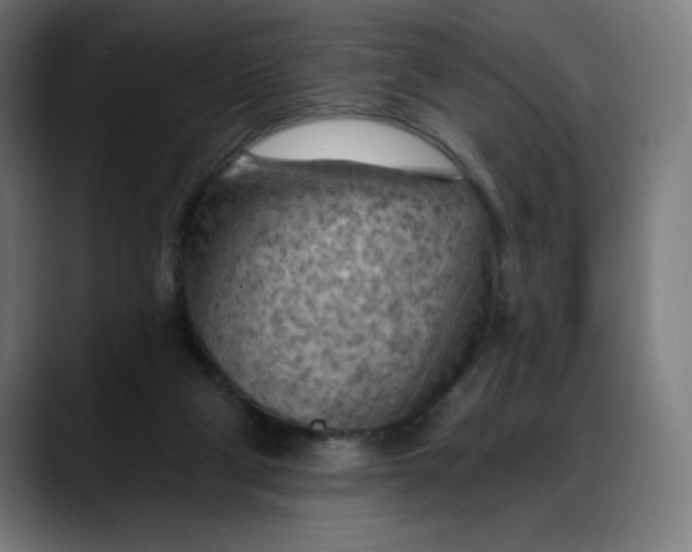 X0000088060114200705251350