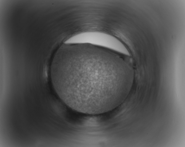 X0000088060115200705251350