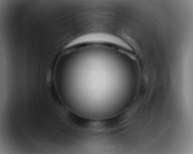 X0000088060117200705251350