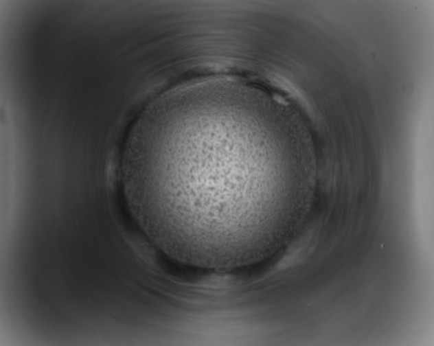 X0000088060119200705251350