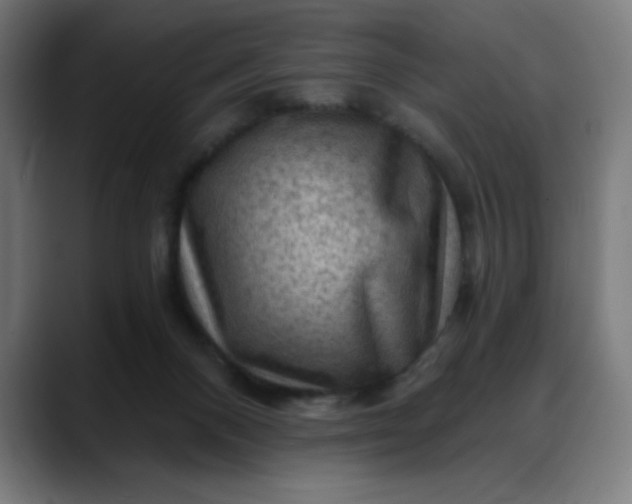 X0000088060120200705251350