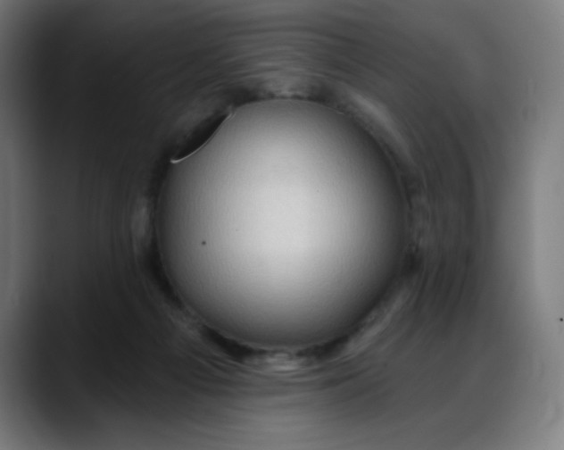 X0000088060121200705251350