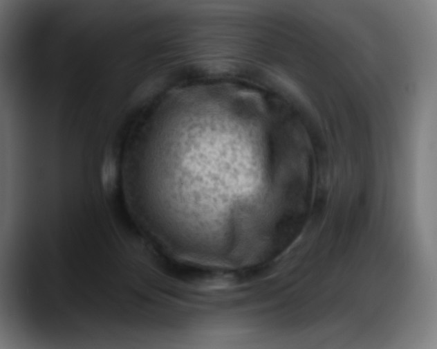 X0000088060124200705251350