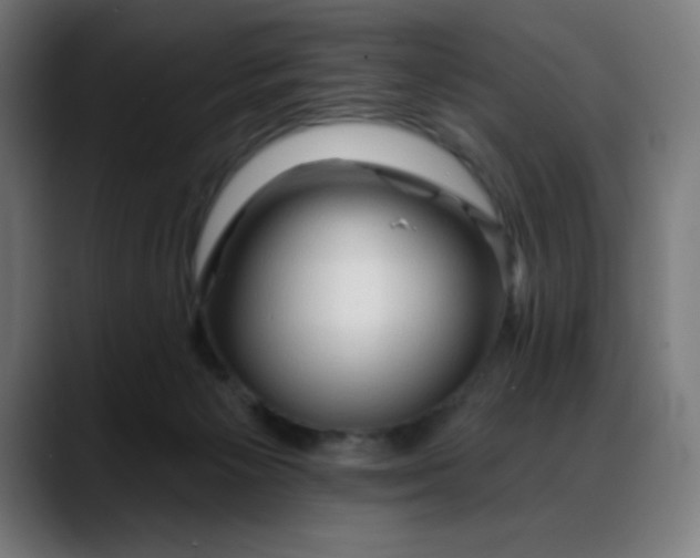 X0000088060125200705251350