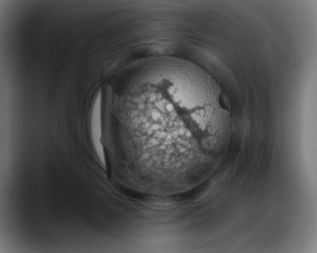 X0000088060127200705251350