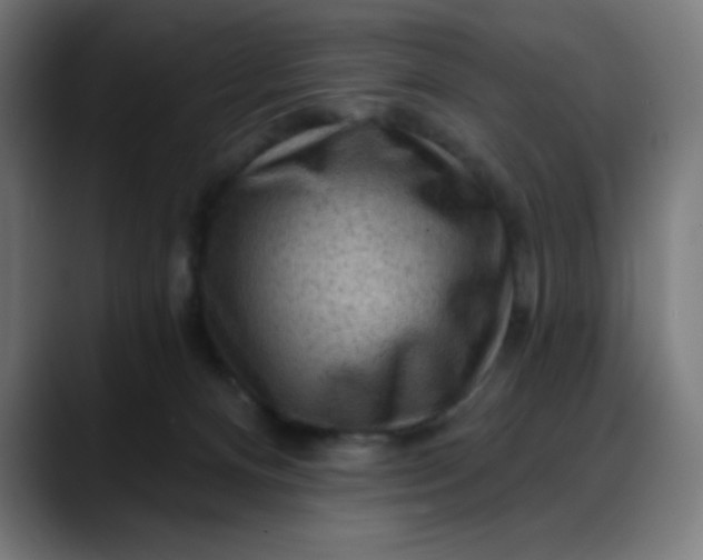 X0000088060128200705251350