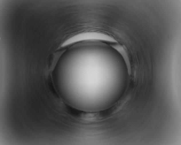 X0000088060129200705251350