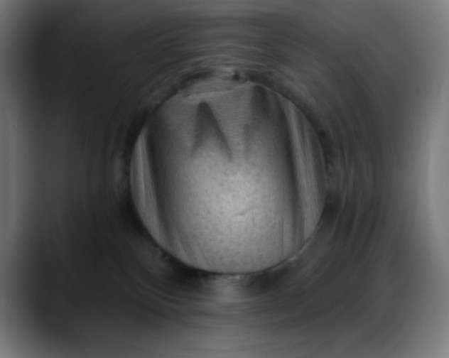 X0000088060136200705251350
