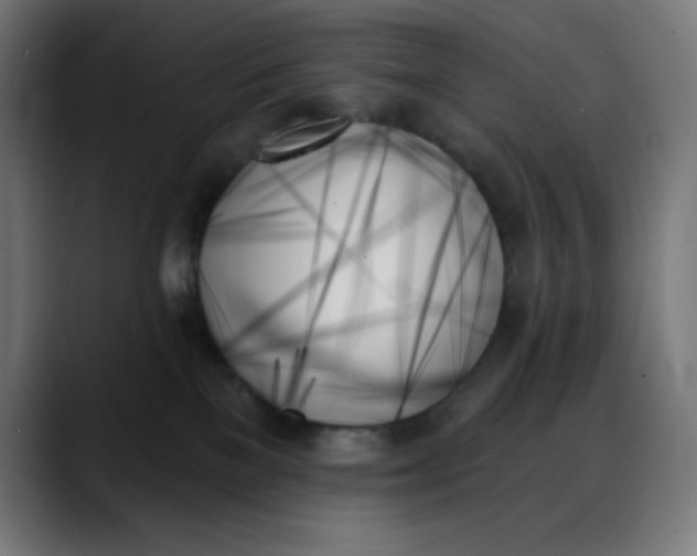 X0000088060137200705251350