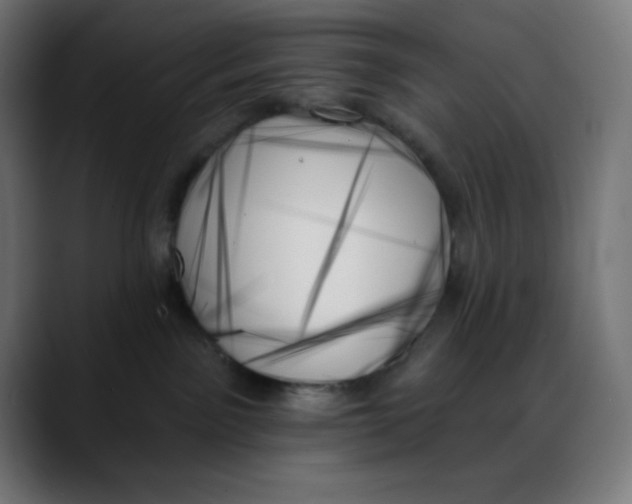 X0000088060141200705251350