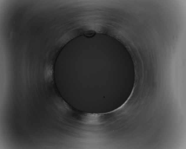X0000088060144200705251350
