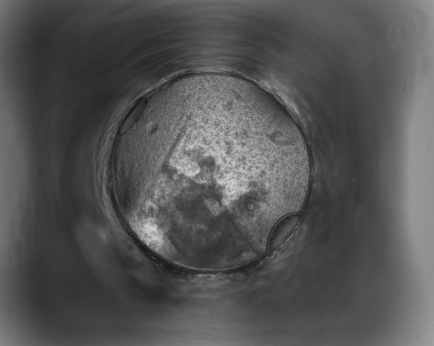 X0000088060145200705251349