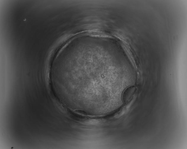 X0000088060149200705251349