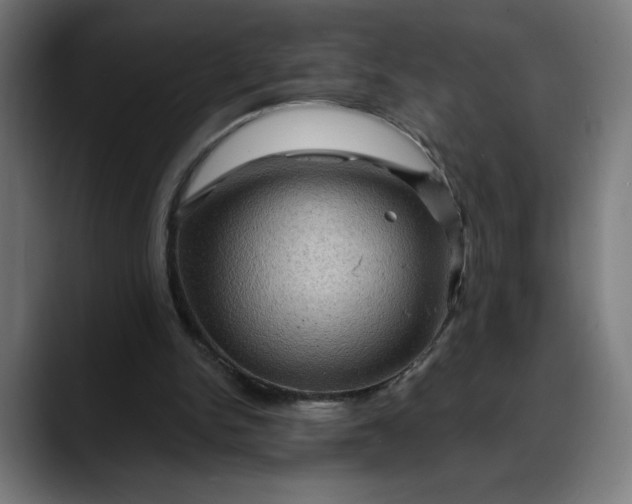 X0000088060150200705251349