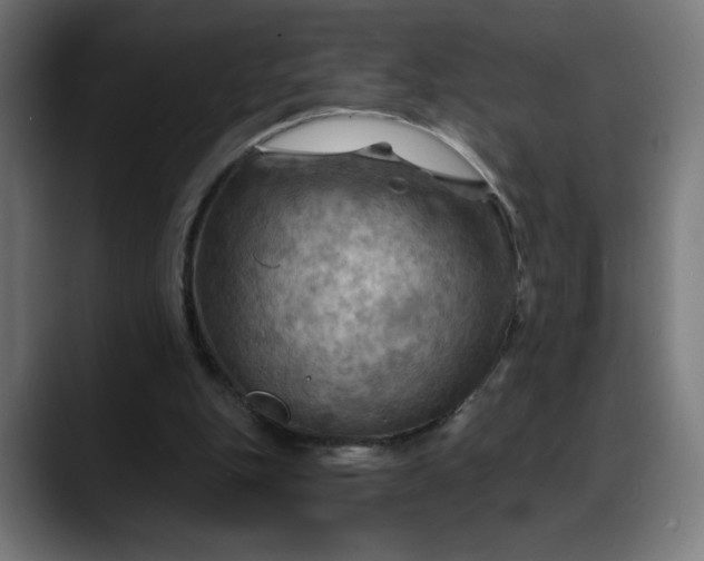X0000088060151200705251349