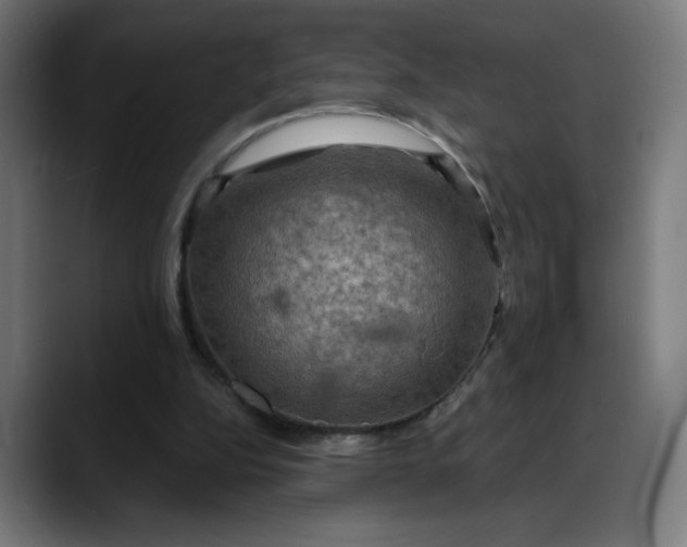 X0000088060152200705251349