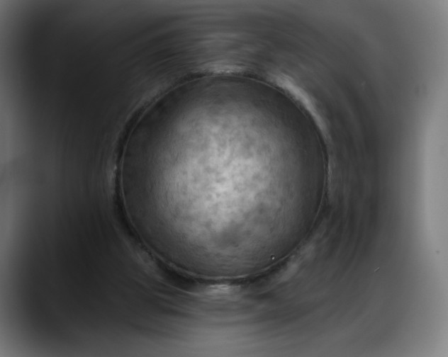 X0000088060153200705251349