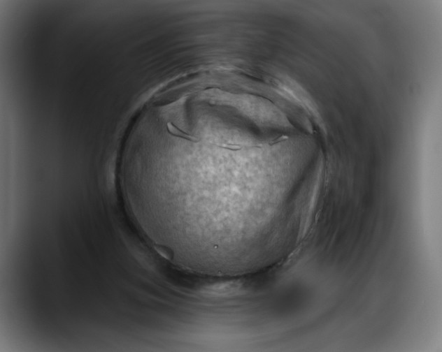 X0000088060155200705251349