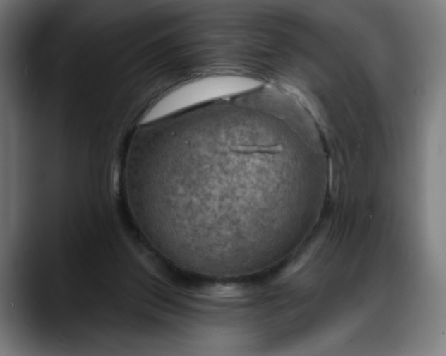 X0000088060157200705251349