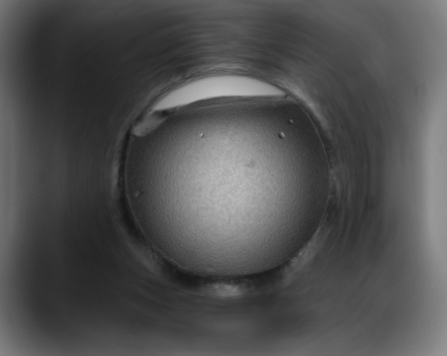 X0000088060159200705251349