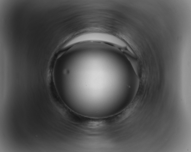 X0000088060160200705251349