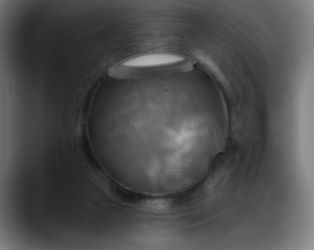 X0000088060161200705251349