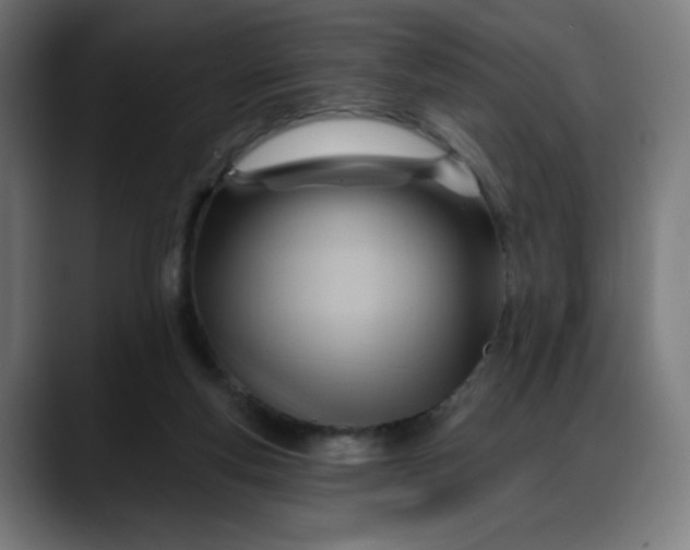 X0000088060163200705251349