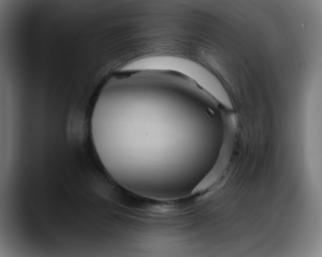 X0000088060164200705251349