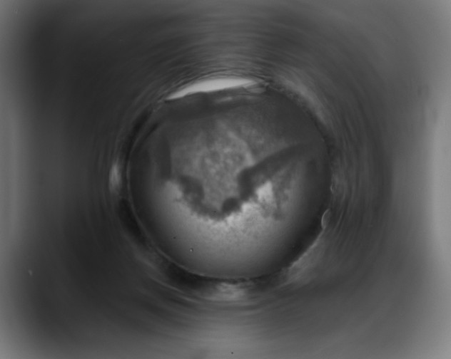 X0000088060166200705251349