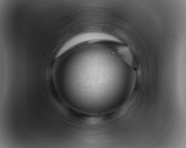 X0000088060168200705251350